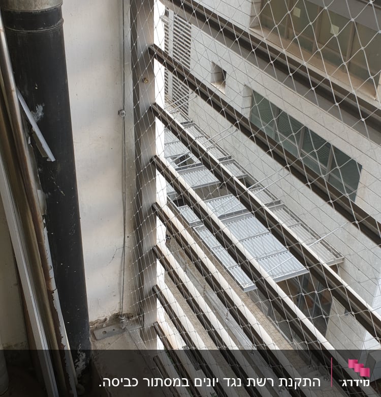 רשת מתוחה למניעת כניסת יונים במרפסת